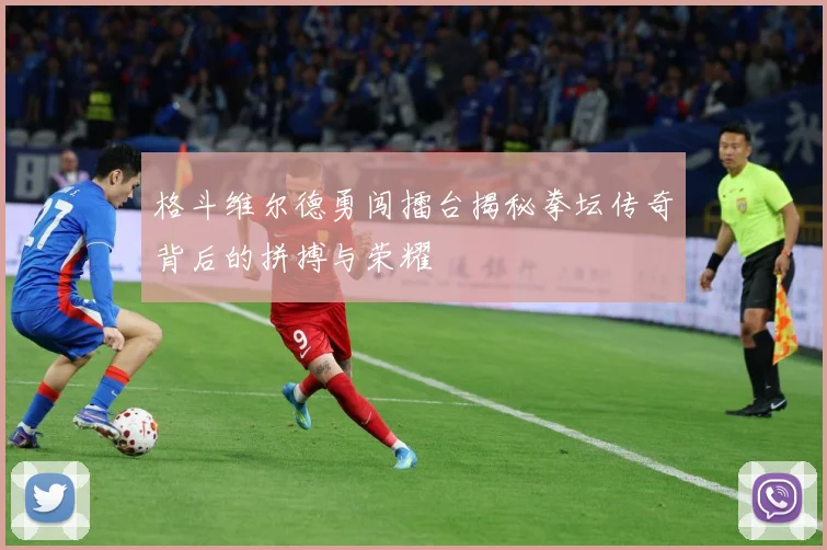 格斗维尔德勇闯擂台揭秘拳坛传奇背后的拼搏与荣耀