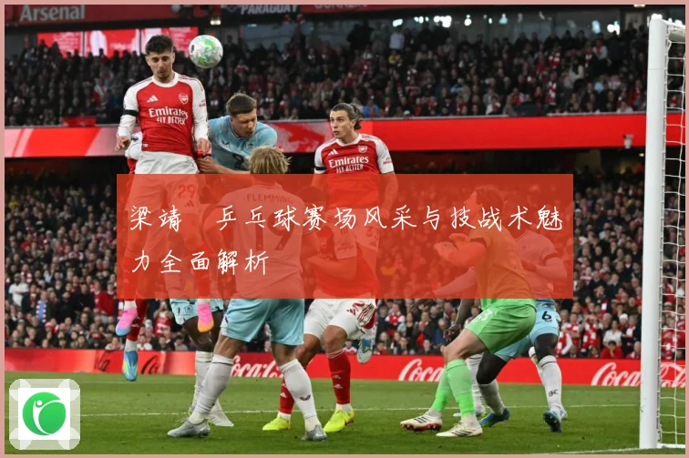 梁靖崑乒乓球赛场风采与技战术魅力全面解析