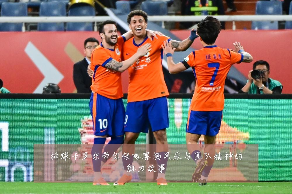 排球卡罗尔带你领略赛场风采与团队精神的魅力故事
